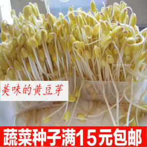 Bsports必一体育