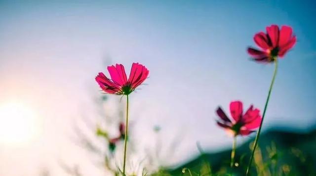 湖南长沙湘江滨水区面向全球征集设计方案“b体育”(图1) b体育