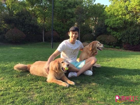 叶澜归是什么梗叶澜归罹烬是什么意思‘必一’(图1) 必一