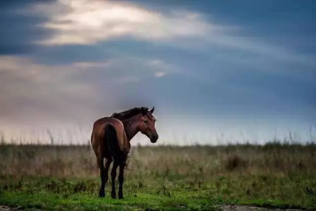 《王者荣耀》总决赛因天气原因延期|必一(图1) Bsports必一体育