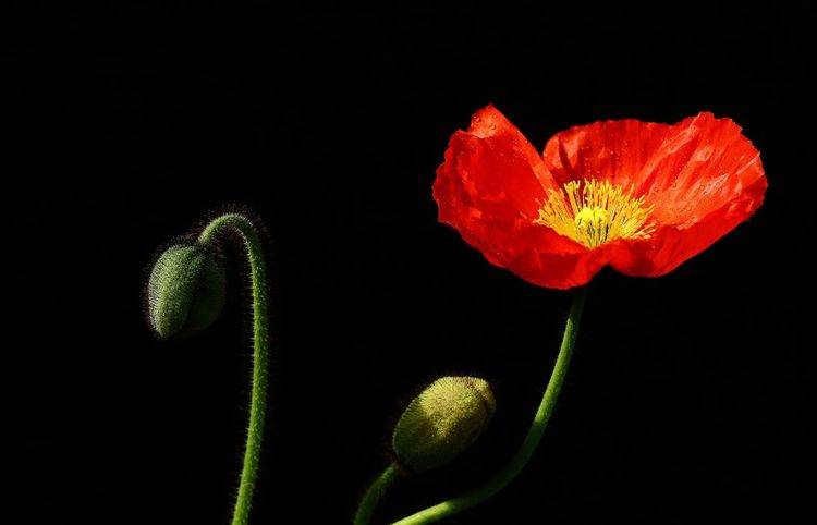 
未来13天 忖量浓浓 旧情沸腾 前任变真爱的4大星座“Bsports必一体育”(图3)