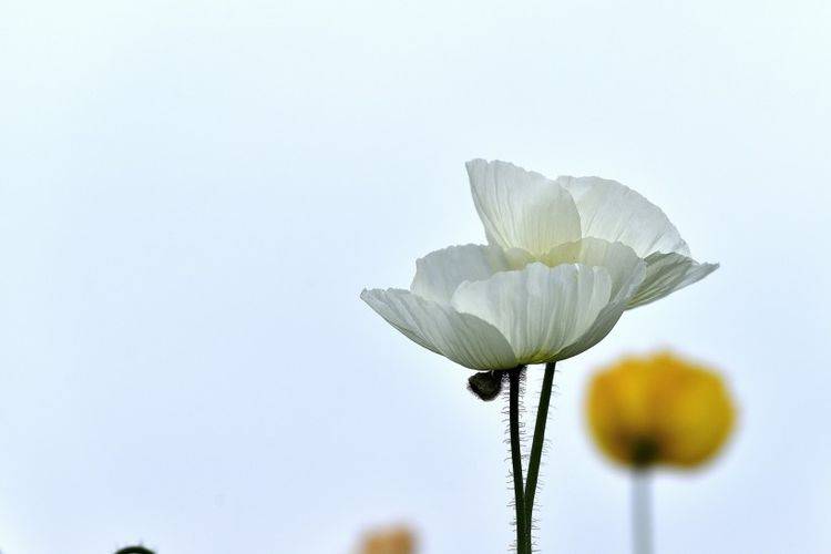 
未来13天 忖量浓浓 旧情沸腾 前任变真爱的4大星座“Bsports必一体育”(图5)