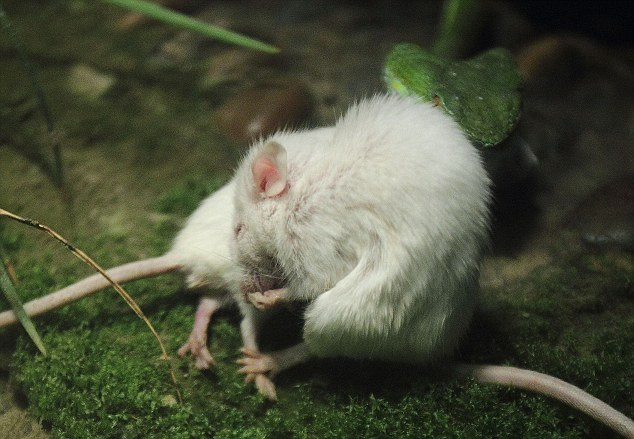 山西大同“生态立市”为京津阻风沙-b体育(图3) 必一