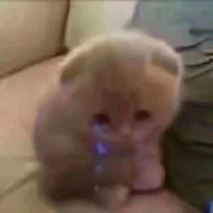 
东来南往“b体育”(图9)