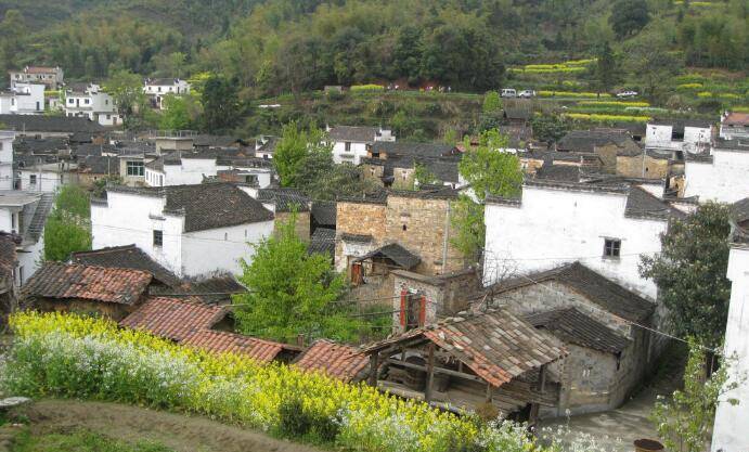 Bsports必一体育_
老人言： 两树夹一房, 家败人又亡, 这句俗语说的是什么意思(图2)