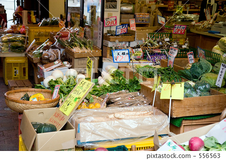 城市园林绿地中雨水的收集和利用‘Bsports必一体育’(图3) 必一