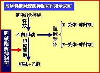 孩子,你也可以读懂前沿物理学_b体育(图1) 必一