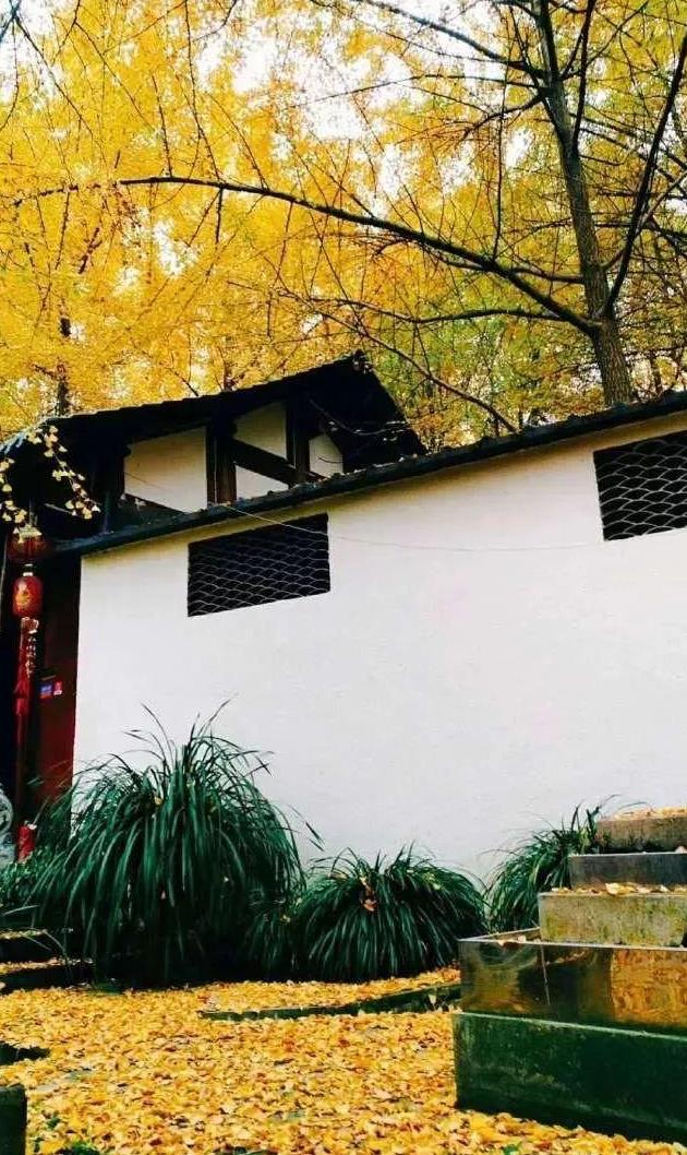 纳税人不能给违章建筑埋单【必一】(图3) 必一