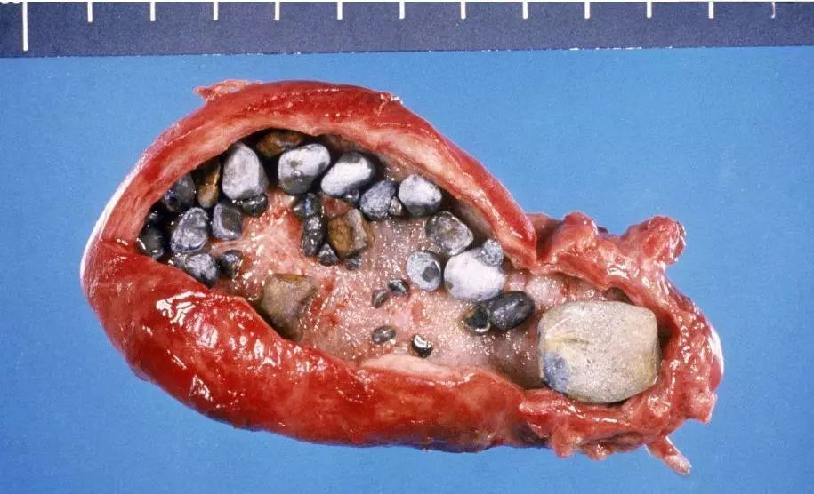 Bsports必一体育_Wine 3.2开发版发布(图1) Bsports必一体育