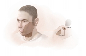 全面落实宁夏空间发展战略规划-必一(图2) Bsports必一体育