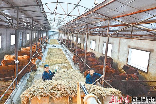 b体育_时隔80天显卡神器终升级!解救一大波新卡(图1) b体育