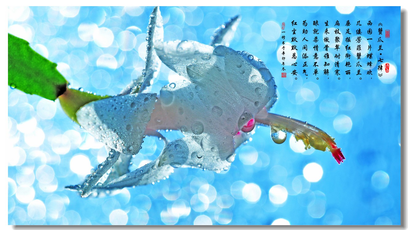 专家:解读西安世园会“绿十条”:b体育(图1) Bsports必一体育