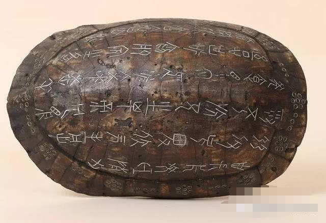 b体育-学习宝2.0新增“逛逛”版块 轻松学习效率看得见(图1) b体育