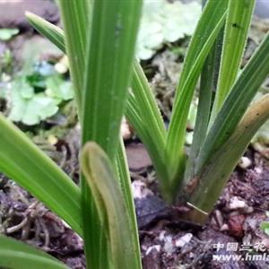 b体育|索尼大甩卖!PS4/游戏折扣太惊人:买买买(图1) 必一