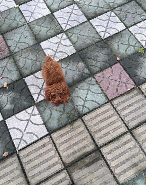 SSD为什么越用越慢?Intel官方答案来了‘必一’(图2) 必一