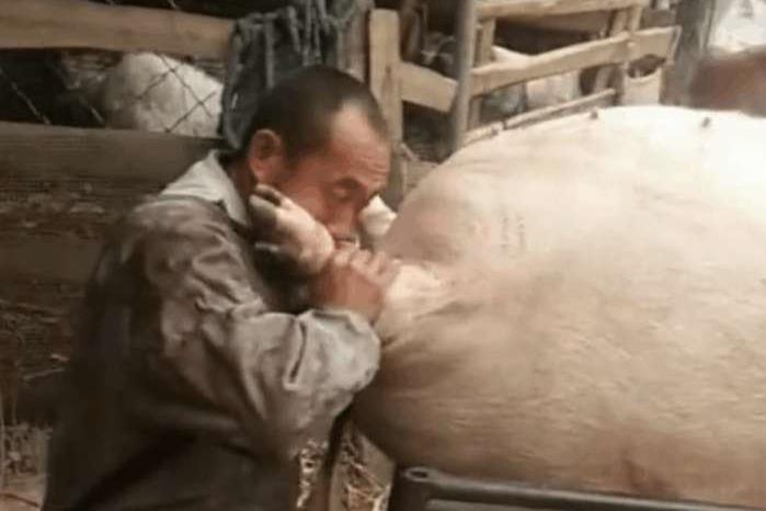 腾讯自走棋手游上线:10分钟一局 爽快公平“b体育”(图1) Bsports必一体育