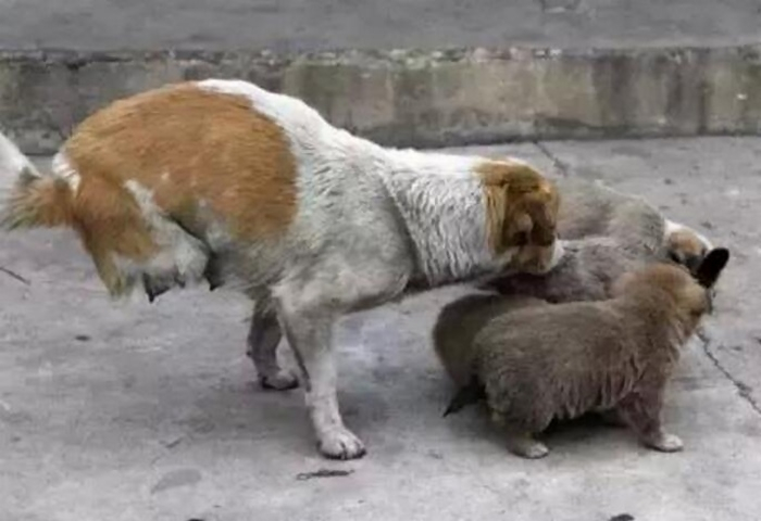 迅雷9上线重磅新功能:首页大改版‘Bsports必一体育’(图2) Bsports必一体育