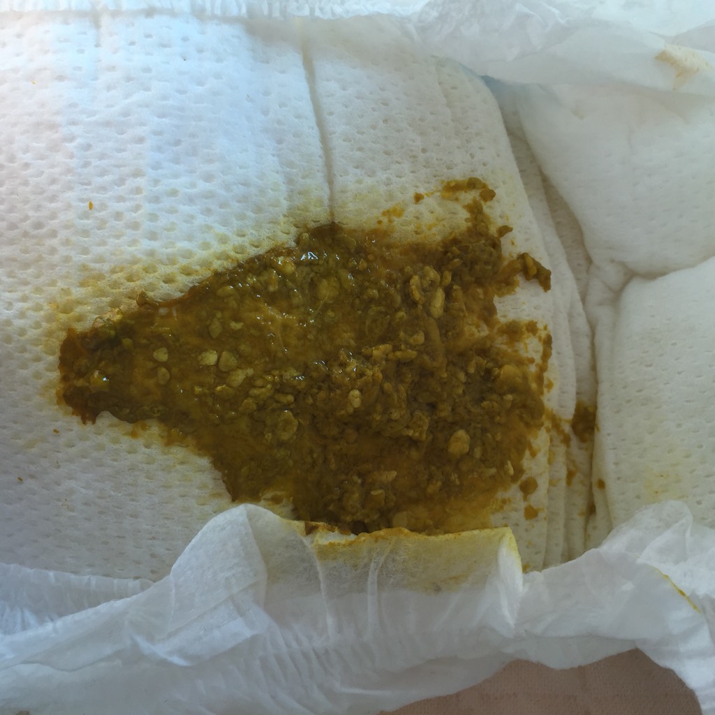 【Bsports必一体育】雅思专家为学子盘点2017年美国大学热门专业有哪些?(图4) Bsports必一体育